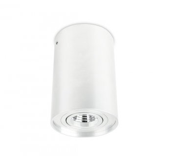Tubo Adjustable Surface Mounted Ceiling Light